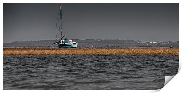 Evolution on the Swale Print by Nigel Jones