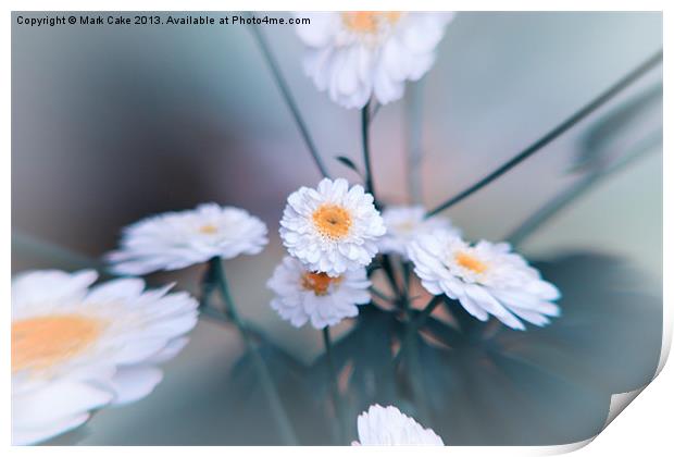 Crazy daisy Print by Mark Cake