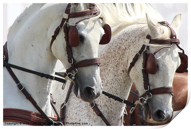 White horses Print by Mark Cake