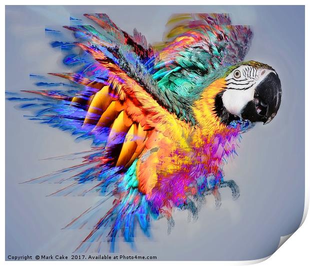 Macaw colour burst Print by Mark Cake