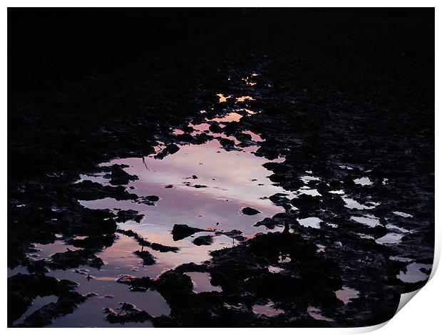 reflective mud puddle Print by Seth jones