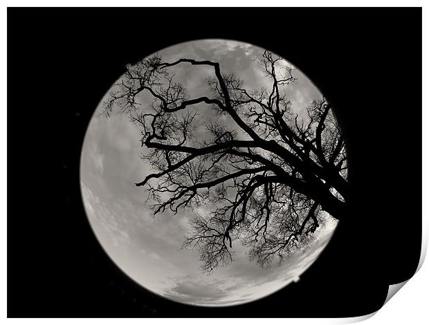 moon? Print by Seth jones