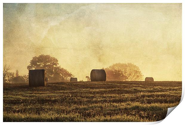Textured haybales Print by Stuart Gennery