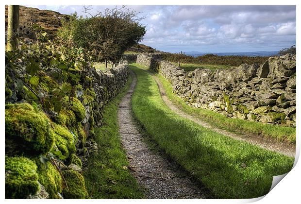 The Lane to Tranquillity Print by Ian Mitchell