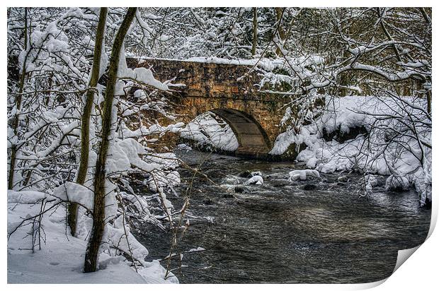 Snow Bridge Print by Ian Mitchell