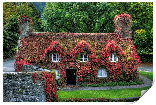 Autumn Cottage Print by Ian Mitchell