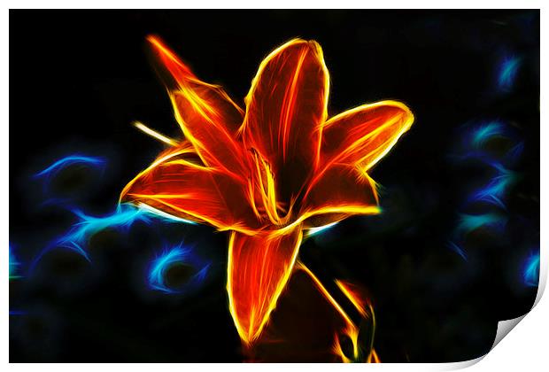 Neon Lily  Print by Ian Mitchell