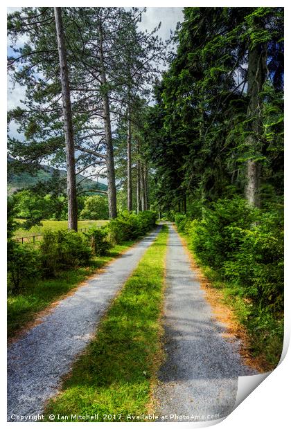 Country Path Walks Print by Ian Mitchell