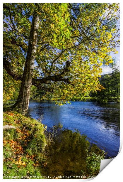 Autumn By The River Print by Ian Mitchell