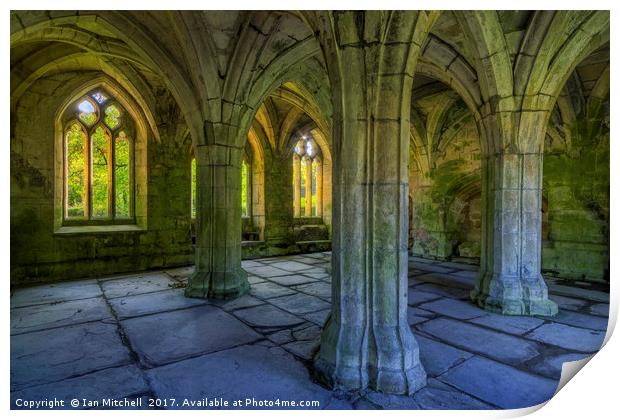 Valle Crucis Print by Ian Mitchell