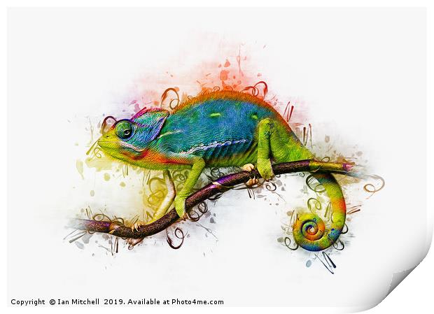 Chameleon Art Print by Ian Mitchell