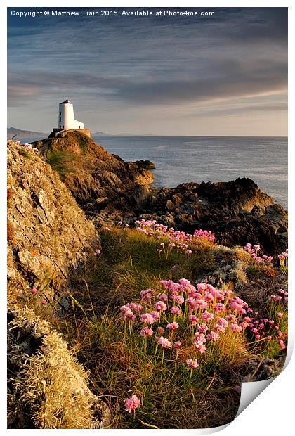 Wildflower Lighthouse II Print by Matthew Train