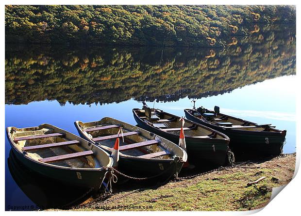 Reflections Print by Rob Washington