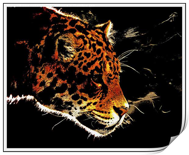  Jaguar Print by dave mcnaught