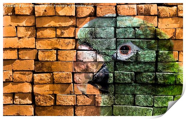  Blue Crowned Conure Print by dave mcnaught