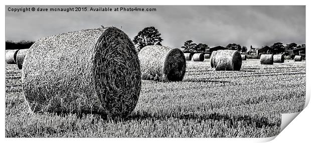  Black & White Hay Bales Print by dave mcnaught