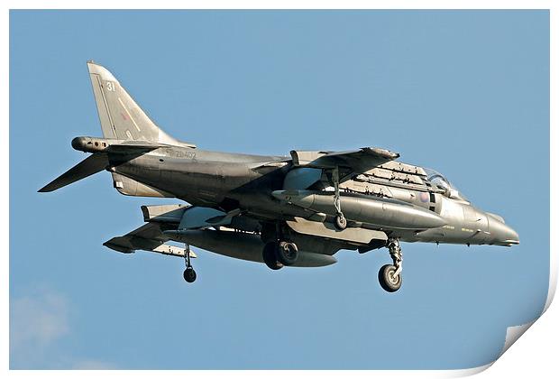 RAF Harrier hovering Print by Rachel & Martin Pics