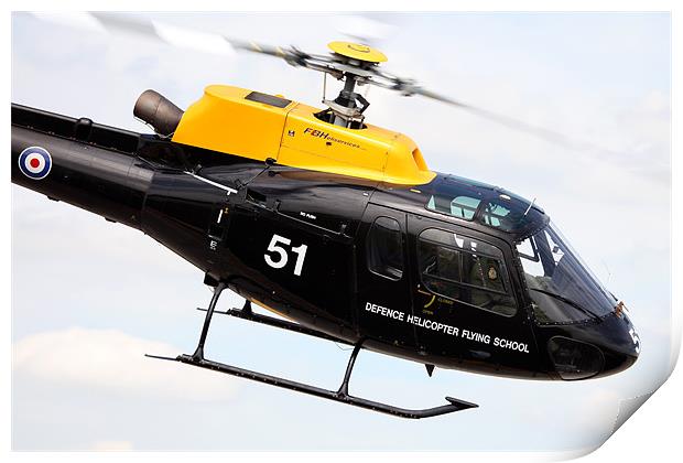 DHFS Squirrel Helicopter Print by Keith Campbell