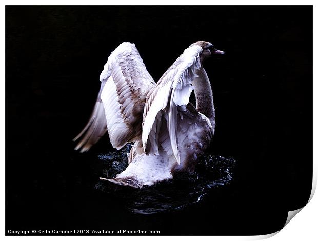 Swan Angel Print by Keith Campbell