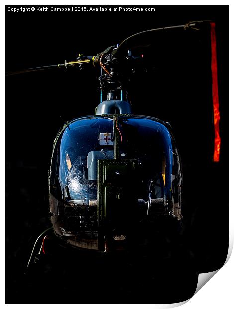  Royal Marine Gazelle in the shadows Print by Keith Campbell
