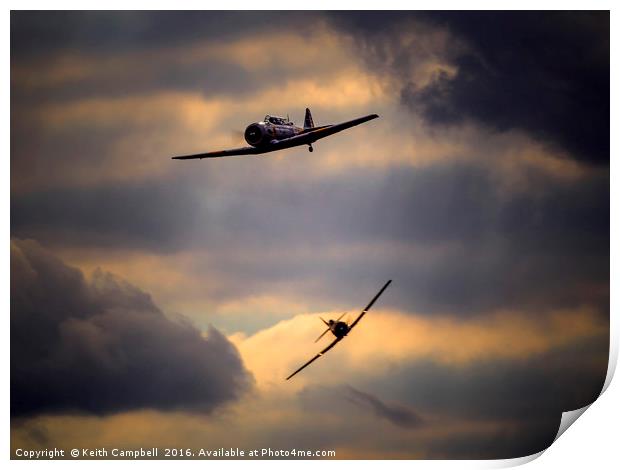 Harvard pair tailchase Print by Keith Campbell
