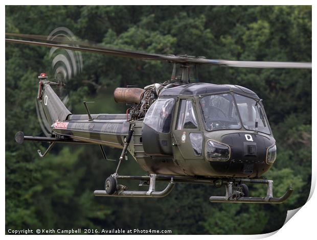 British Army Westland Scout Helicopter Print by Keith Campbell