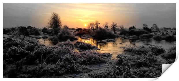  A crisp fresh New Forest in January. Image by JCs Print by JC studios LRPS ARPS