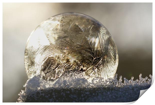 A frozen bubble  Print by JC studios LRPS ARPS