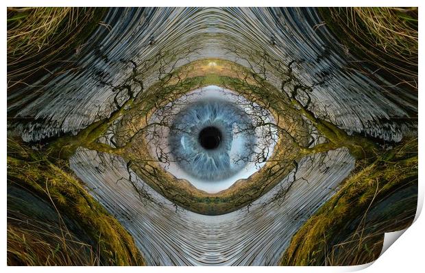 The all seeing eye of nature.. Print by JC studios LRPS ARPS