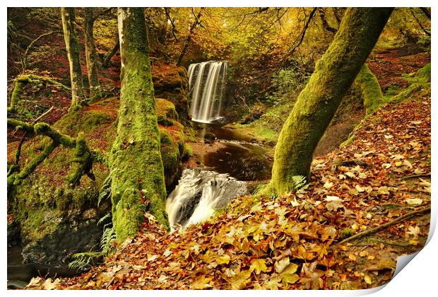 Dalcairney Falls in Autumn Print by JC studios LRPS ARPS