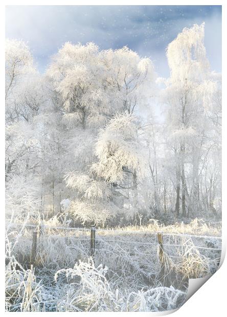 In the cold light of day  Print by JC studios LRPS ARPS