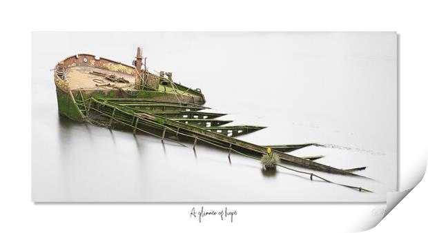 A glimmer of hope wreck Scotland Scottish daffodil Print by JC studios LRPS ARPS