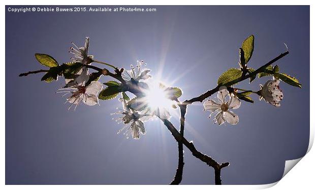  Sun, Sky & Blossom  Print by Lady Debra Bowers L.R.P.S
