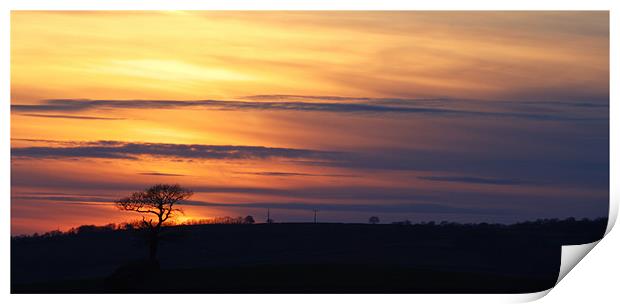 Yellow sunset Print by Stephen Walters