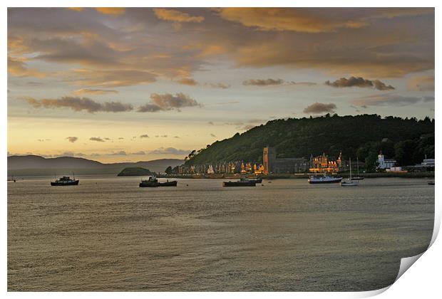 Oban Harbour Print by Tommy Reilly