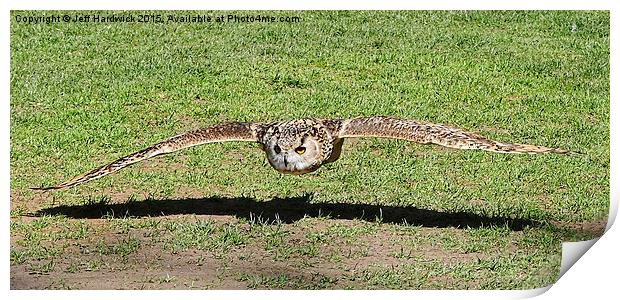  Eagle Owl coming in for the kill Print by Jeff Hardwick