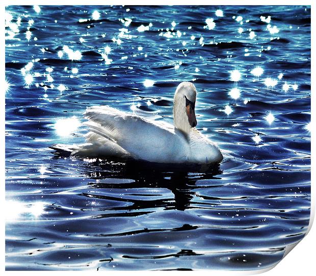 Swan Print by Matthew Laming