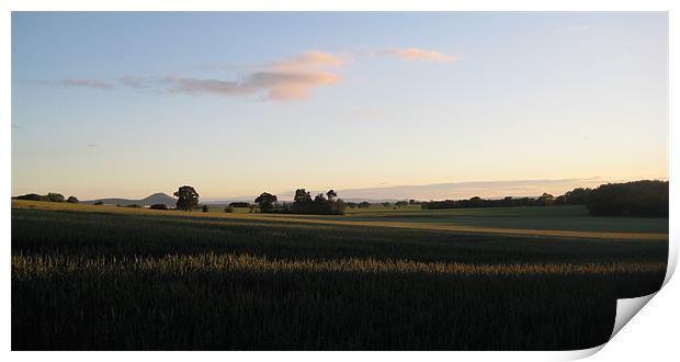 Evening sky Print by Carol Young