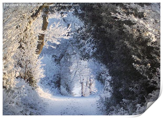  Winter wonderland Print by Carol Young