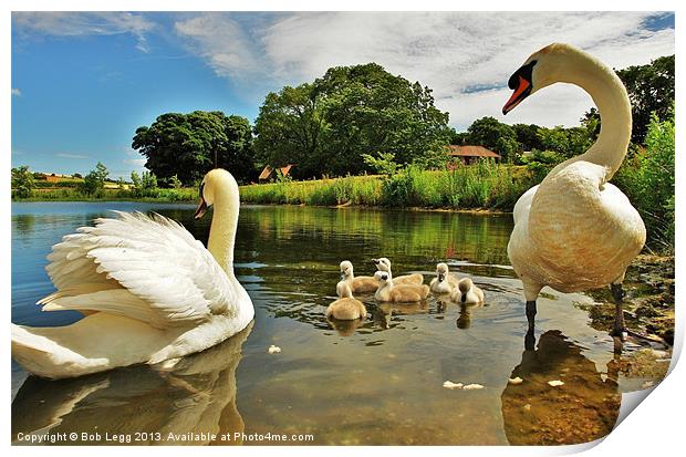 The Family Print by Bob Legg