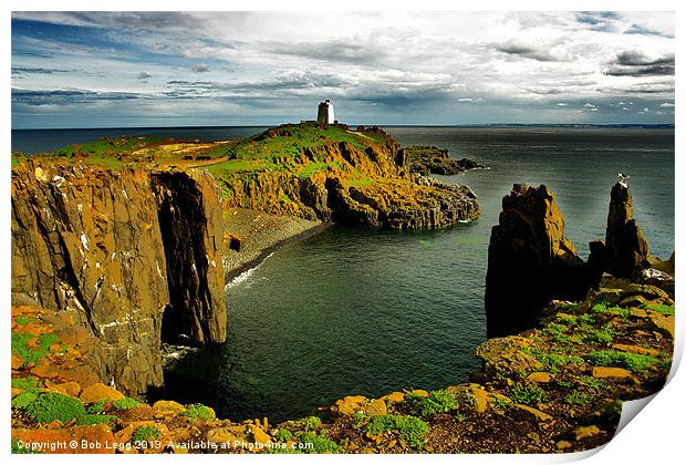 May Island South Horn Print by Bob Legg