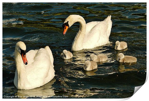 First time on the water Print by Bob Legg