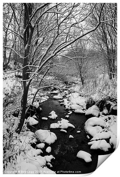 Winter Woods 2 Print by Bob Legg