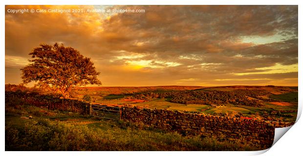 Peaceful Contemplation - Danby Print by Cass Castagnoli