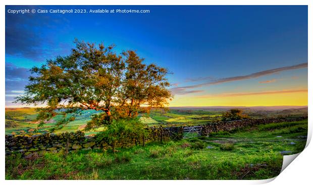 Evening light on Danby Moor Print by Cass Castagnoli