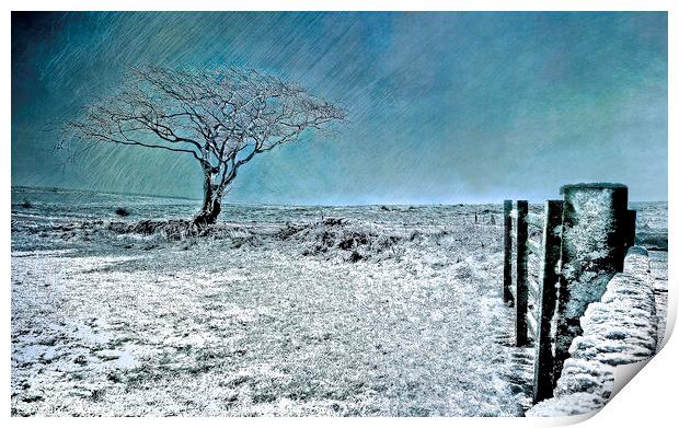 Ice Blue Christmas - North York Moors Print by Cass Castagnoli
