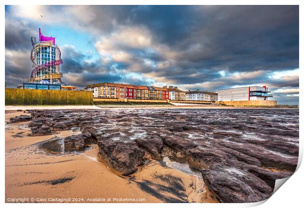 Petrified Forest - Redcar Print by Cass Castagnoli