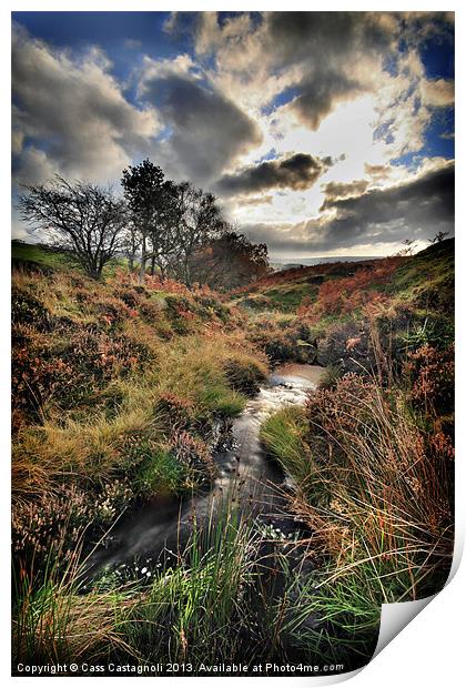 Autumn Moor Print by Cass Castagnoli