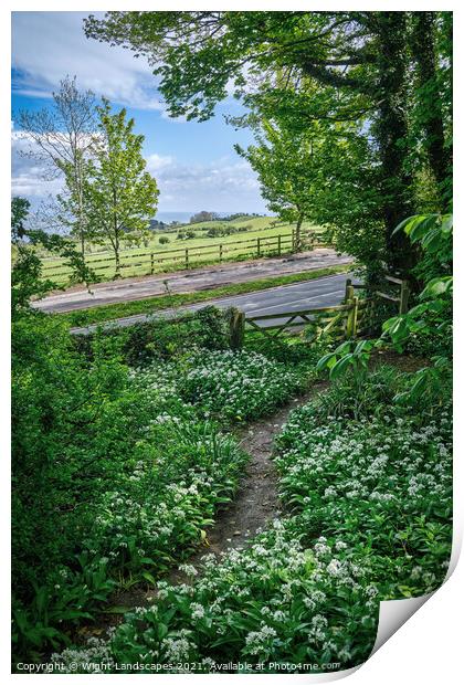 Cowlease Hill Shanklin Print by Wight Landscapes