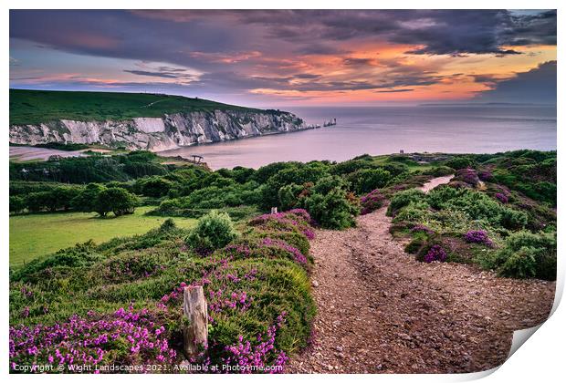 Headon Hill And The Needles Print by Wight Landscapes